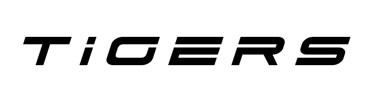 Dodger Title Italic  Free Fonts Download