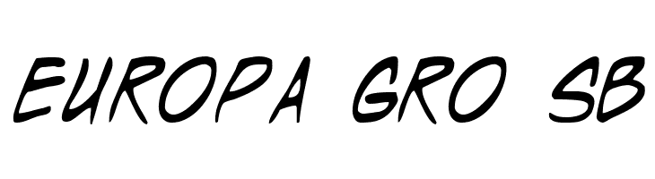 Wyld Stallyns  Free Fonts Download