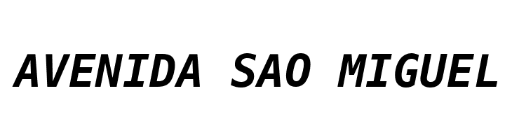 Hack Bold Oblique  Free Fonts Download