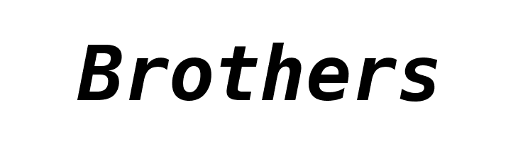 Hack Bold Oblique  Free Fonts Download