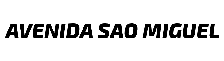 Exo 2 Extra Bold Italic  Free Fonts Download