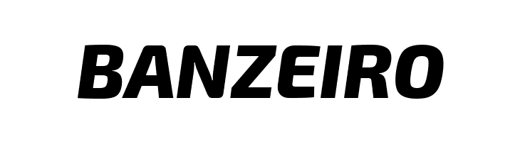 Exo 2 Extra Bold Italic  Free Fonts Download