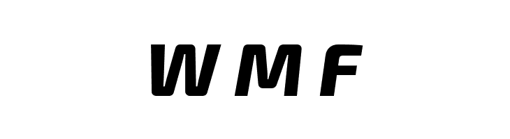 Exo 2 Extra Bold Italic  Free Fonts Download