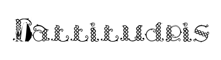 Laapiah Tigo Typeface  Free Fonts Download