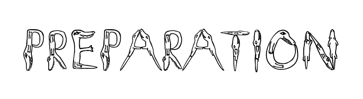 Alligators  Free Fonts Download