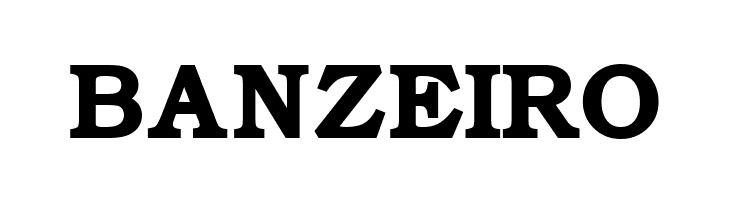 ER Bukinist Mac Bold  Free Fonts Download