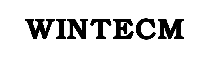 ER Bukinist Mac Bold  Free Fonts Download