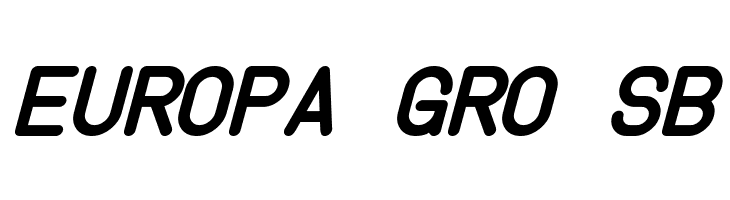 Instruction Bold Italic  Free Fonts Download