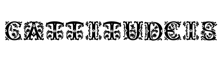 Beauty Initials  Free Fonts Download