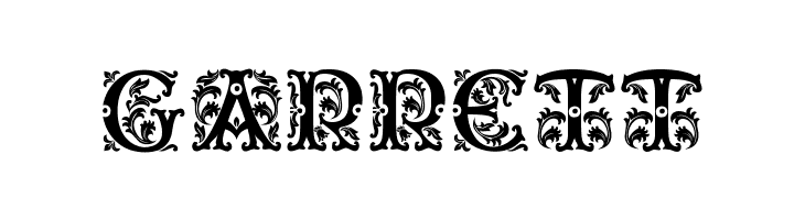 Beauty Initials  Free Fonts Download