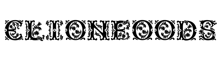 Beauty Initials  Free Fonts Download