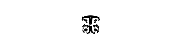 Beauty Initials  Free Fonts Download