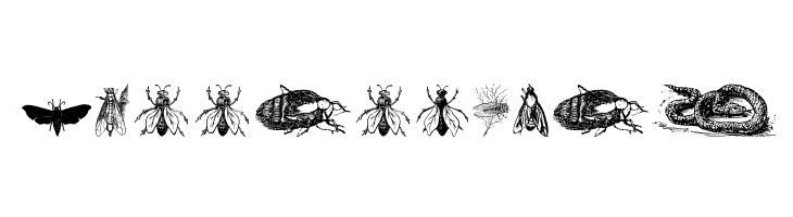 Grissom Four  Free Fonts Download