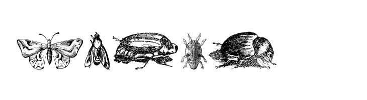 Grissom Four  Free Fonts Download