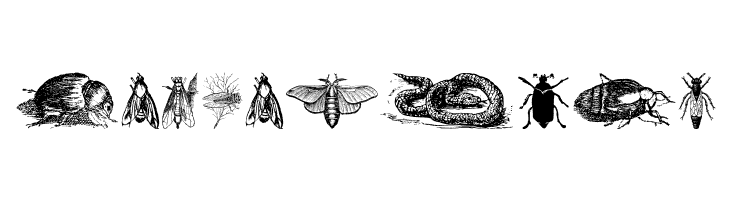 Grissom Four  Free Fonts Download