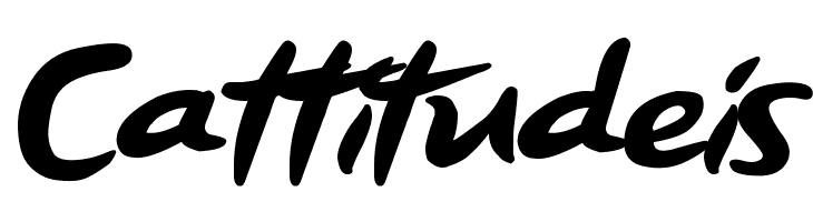 Order Pizza  Free Fonts Download