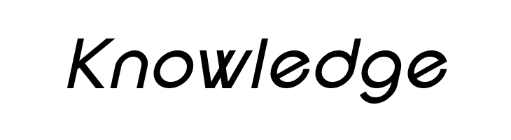 SF New Republic Italic  Free Fonts Download