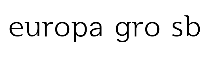 SeoulHangang L  Free Fonts Download