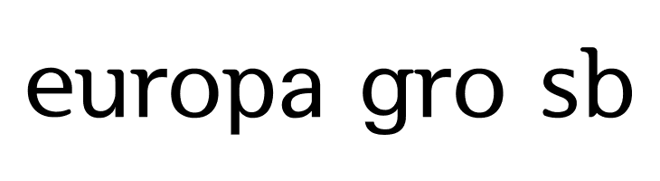 SeoulHangang B  Free Fonts Download
