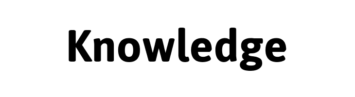 Jaldi Bold  Free Fonts Download