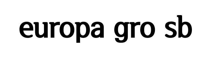 SeoulHangang CBL  Free Fonts Download