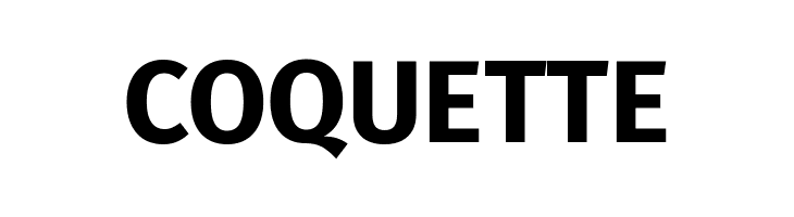 Fira Sans Bold  Free Fonts Download