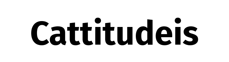 Fira Sans Bold  Free Fonts Download