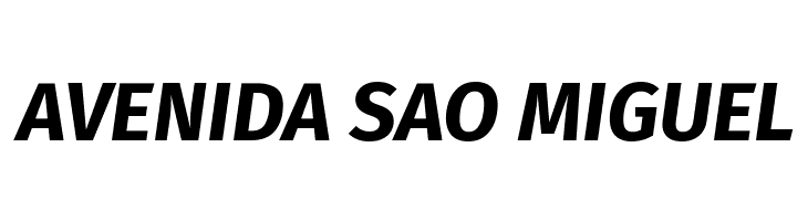 Fira Sans Bold Italic  Free Fonts Download