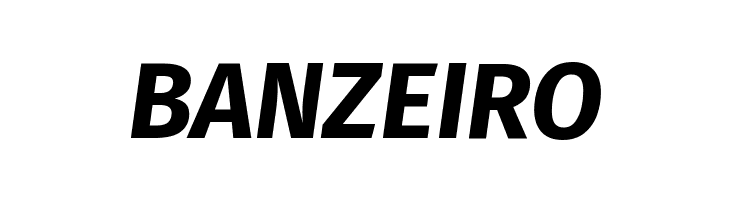 Fira Sans Bold Italic  Free Fonts Download