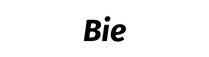 Fira Sans Bold Italic  Free Fonts Download
