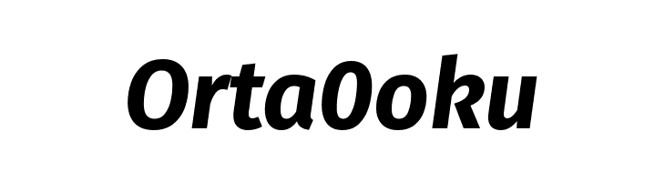 Fira Sans Bold Italic  Free Fonts Download