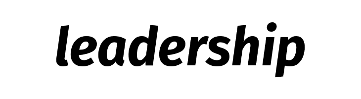 Fira Sans Bold Italic  Free Fonts Download