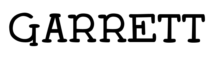 DJB Holly Serif Bold  Free Fonts Download