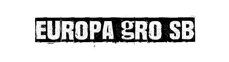 Dharma Punk  Free Fonts Download