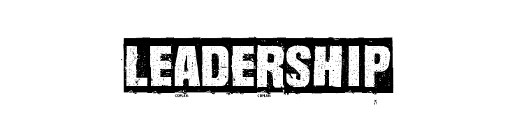 Dharma Punk  Free Fonts Download