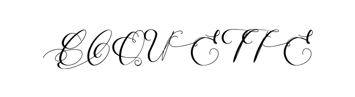 MathildeCastleland  Free Fonts Download