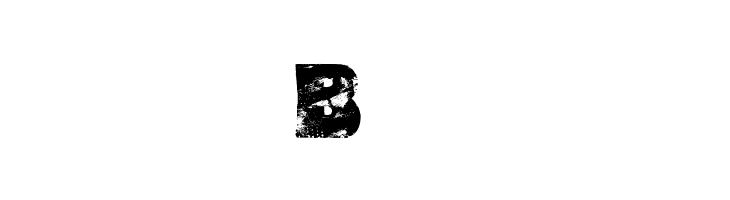 Fat Brush by Marta van Eck  Free Fonts Download