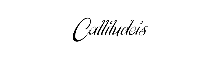 Signarita Chloe  Free Fonts Download