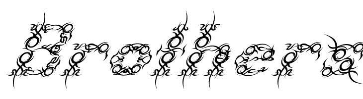 Tribou-Italic  Free Fonts Download