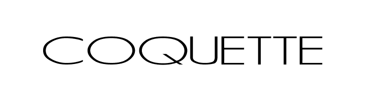 RSSansSerif  Free Fonts Download