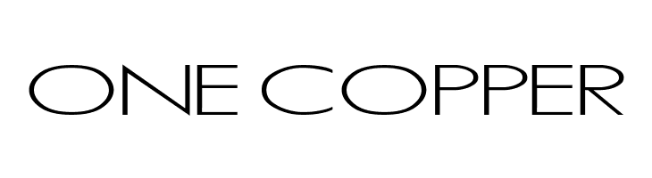 RSSansSerif  Free Fonts Download