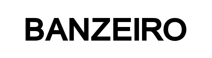 ER Univers 1251 Bold  Free Fonts Download