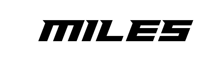 Paladins  Free Fonts Download