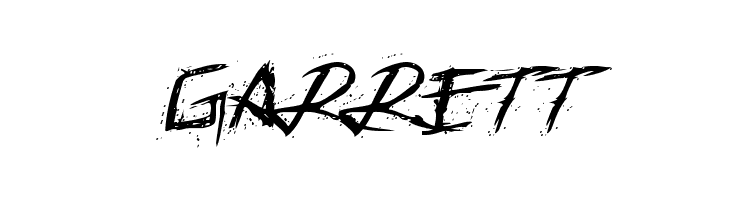 Assassin Nation Italic  Free Fonts Download