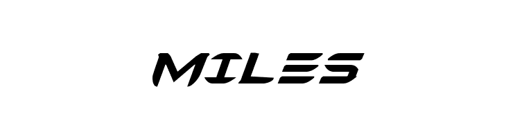 Ferret Face Bold Italic  Free Fonts Download