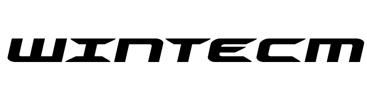 Drive Italic  Free Fonts Download