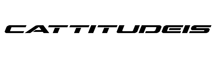 Outrider Expanded Bold Italic  Free Fonts Download