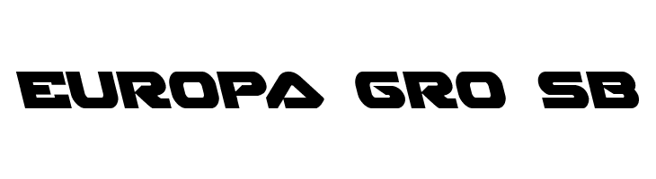 Skyhawk Leftalic  Free Fonts Download