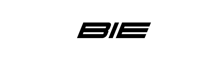 911 Porscha Bold Italic  Free Fonts Download