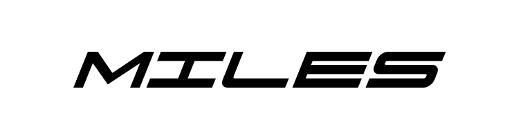 911 Porscha Bold Italic  Free Fonts Download